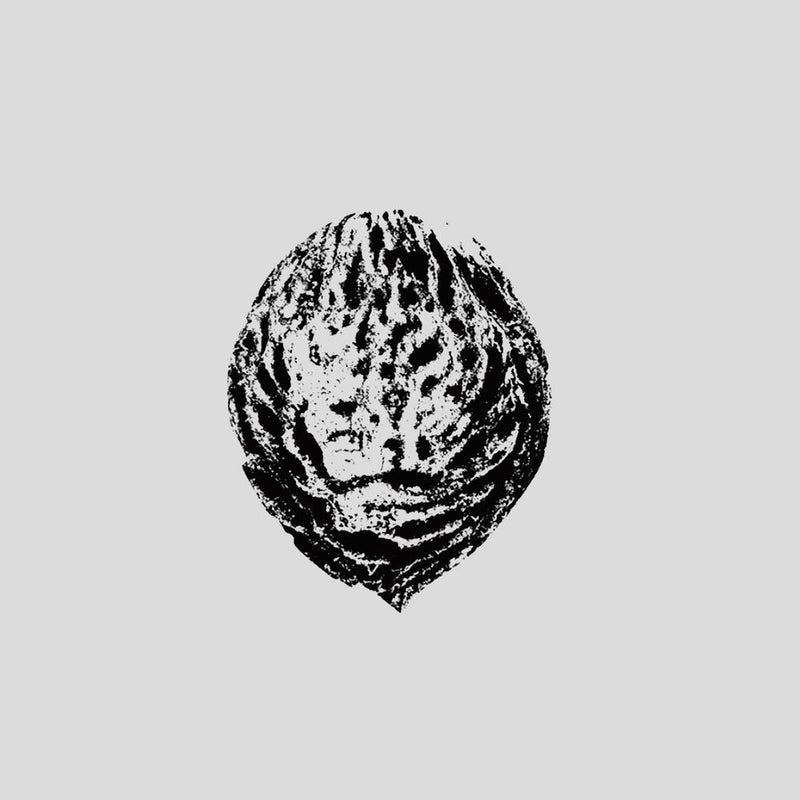 BEBOP ARMAGEDDON (DETOURS & OFFCUTS FROM SEASON OF THE PEACH) (INDIE EXCLUSIVE VINYL) BLACK LIPS Limited to 1000